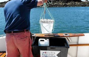 cap-vers-la-nature-sciences participatives